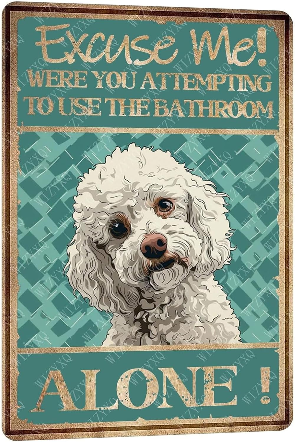 Home Alone Bathroom - Metal Signs Excuse Me Were You