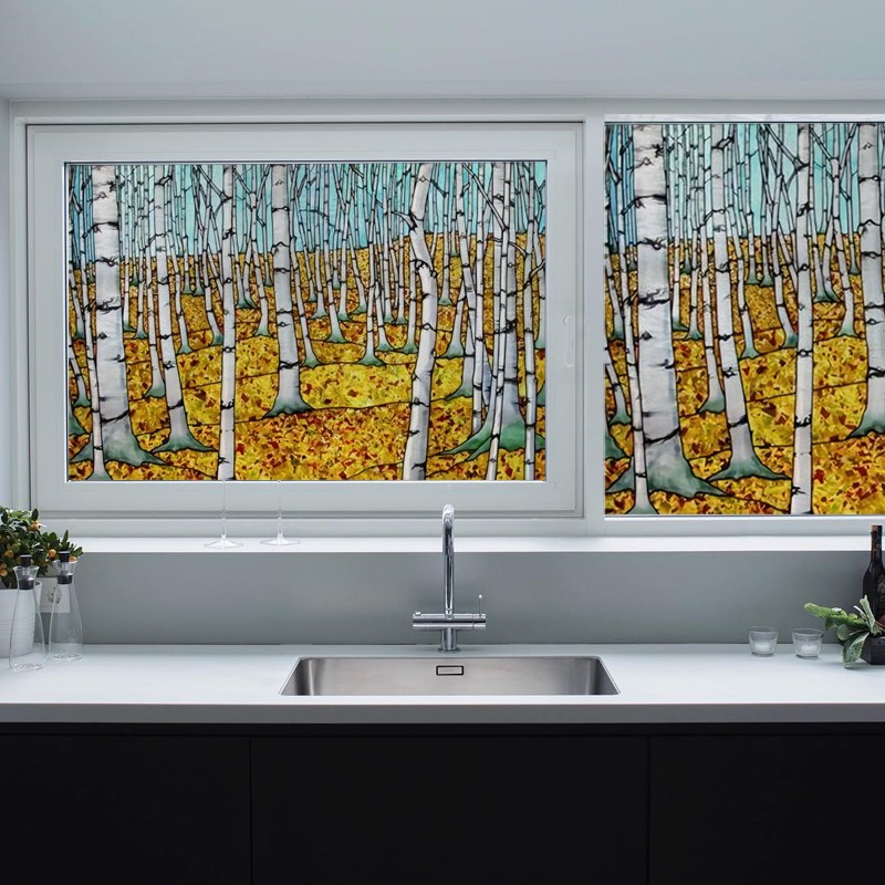 Static Cling Window Film Priva - Home Bathroom Window Tint avis et prix