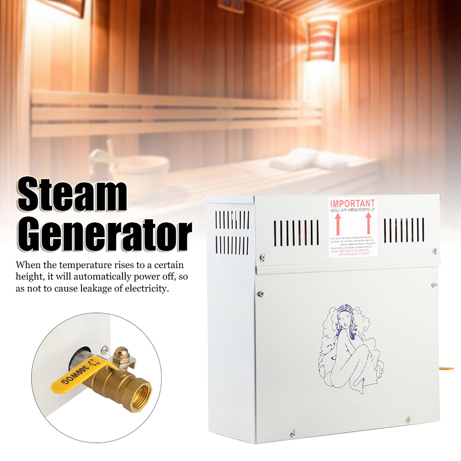 4.5KW 220V Steam Generator Sho - Home Bathroom Spa avis et prix